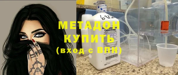прущие грибы Медногорск