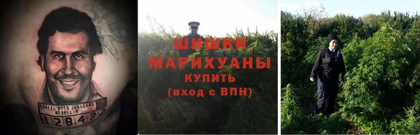 mdpv Медвежьегорск