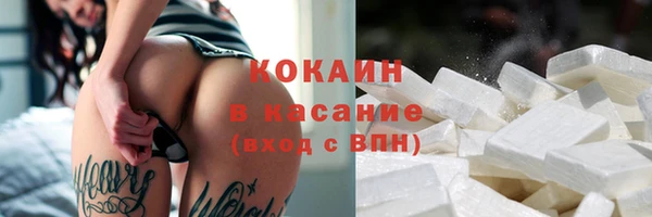 прущие грибы Медногорск