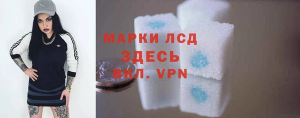 прущие грибы Медногорск
