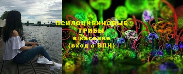 прущие грибы Медногорск