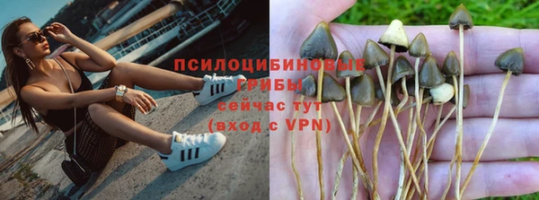 mdpv Медвежьегорск
