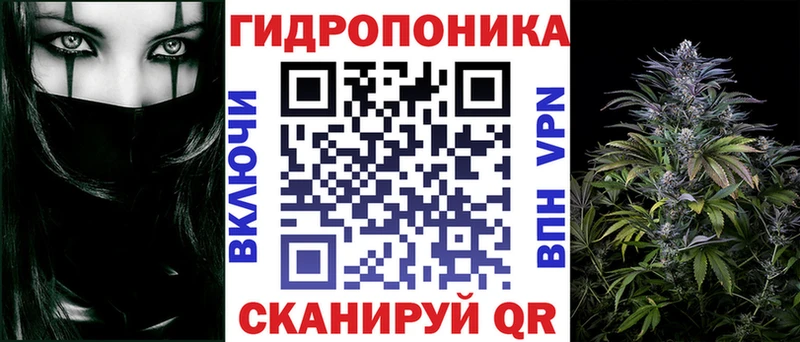 где купить наркотик  Фролово  Каннабис SATIVA & INDICA 